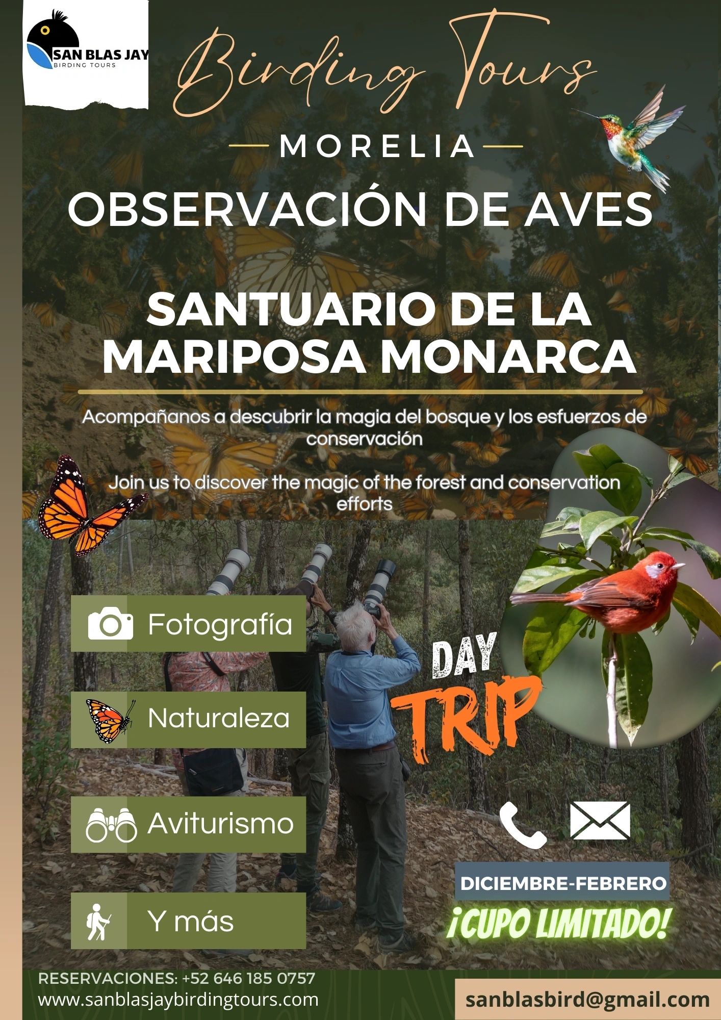 Tour image