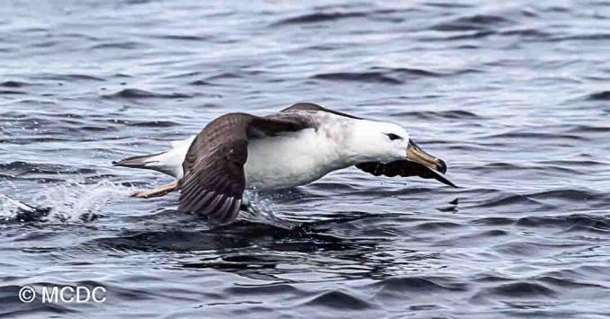 Tierra del Fuego Photography Workshop