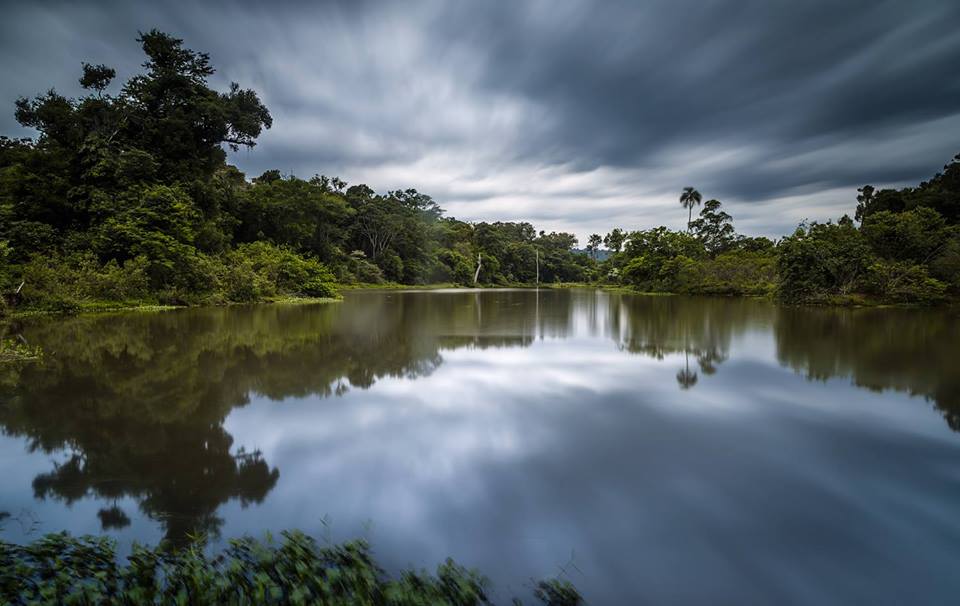 San Sebastian de la Selva Birding Tour