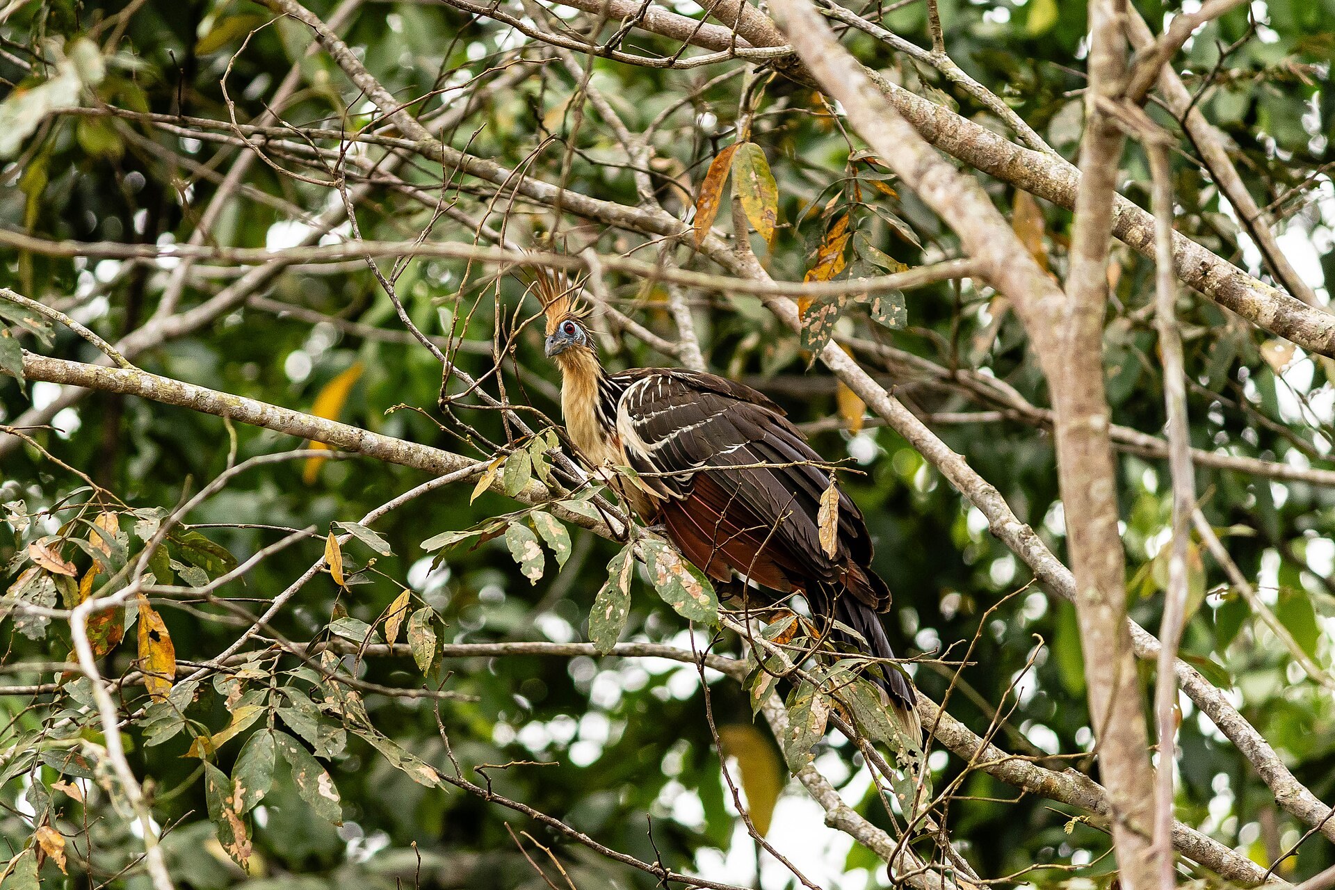 Tour image