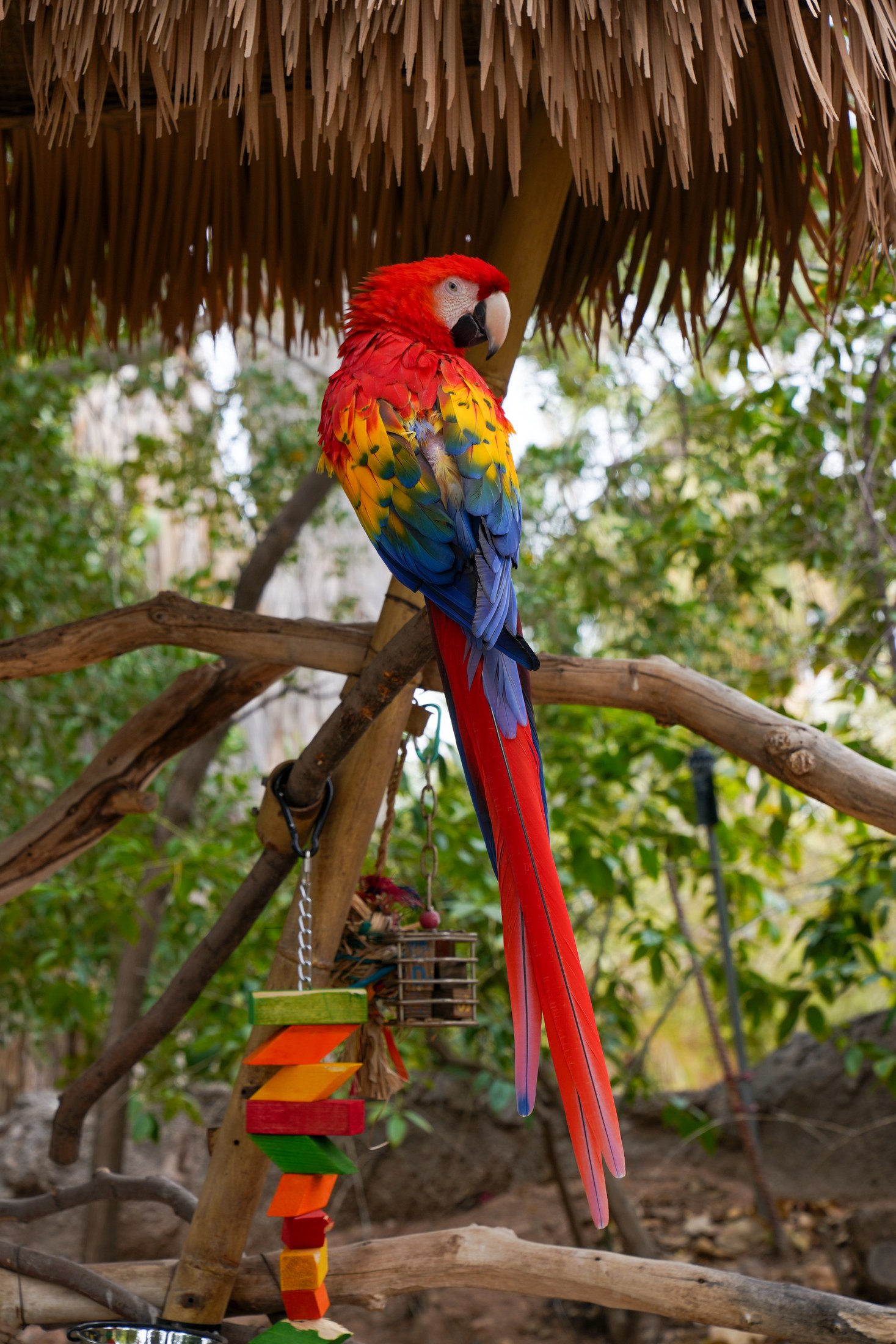 Tour image