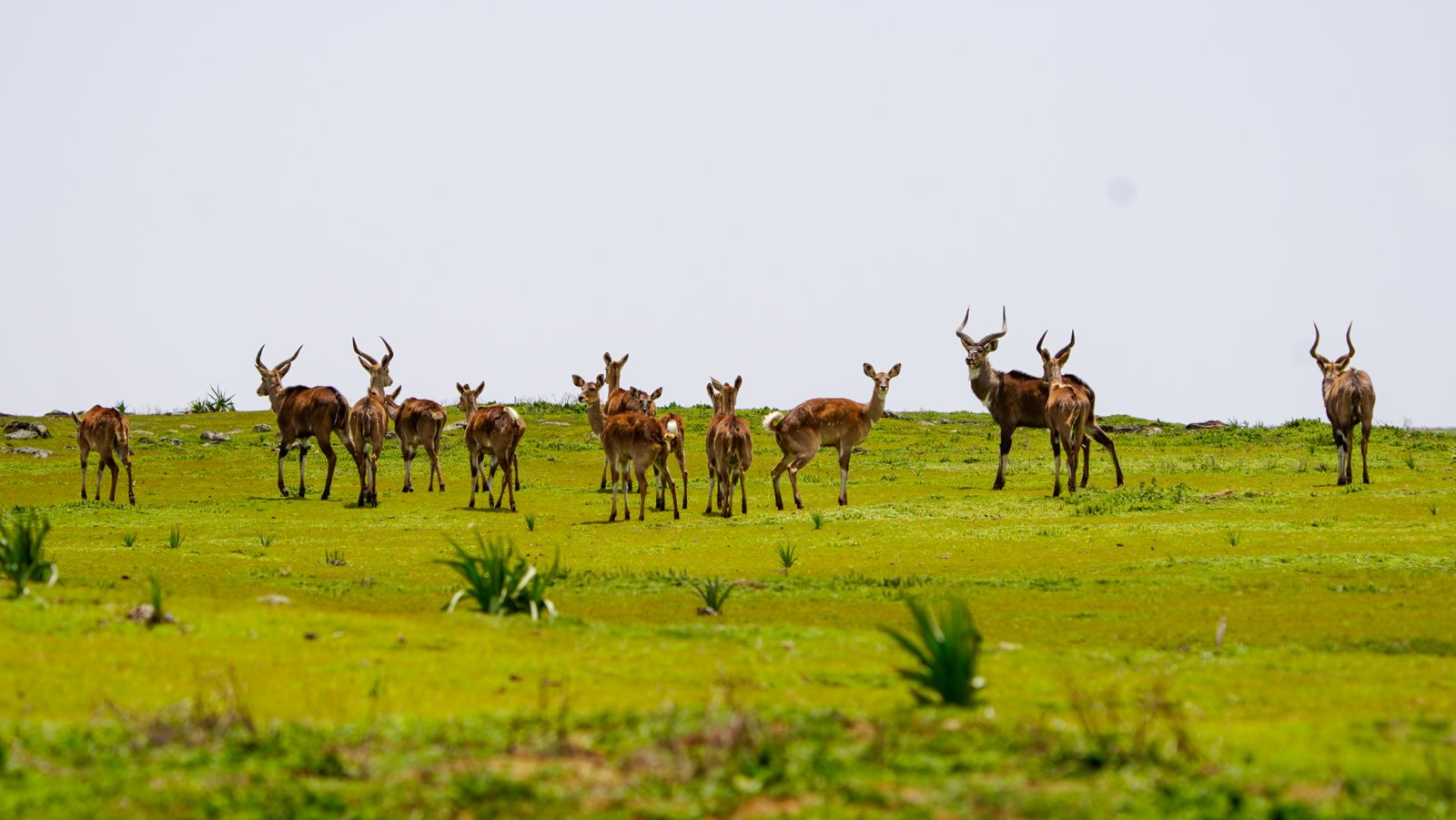 Tour image