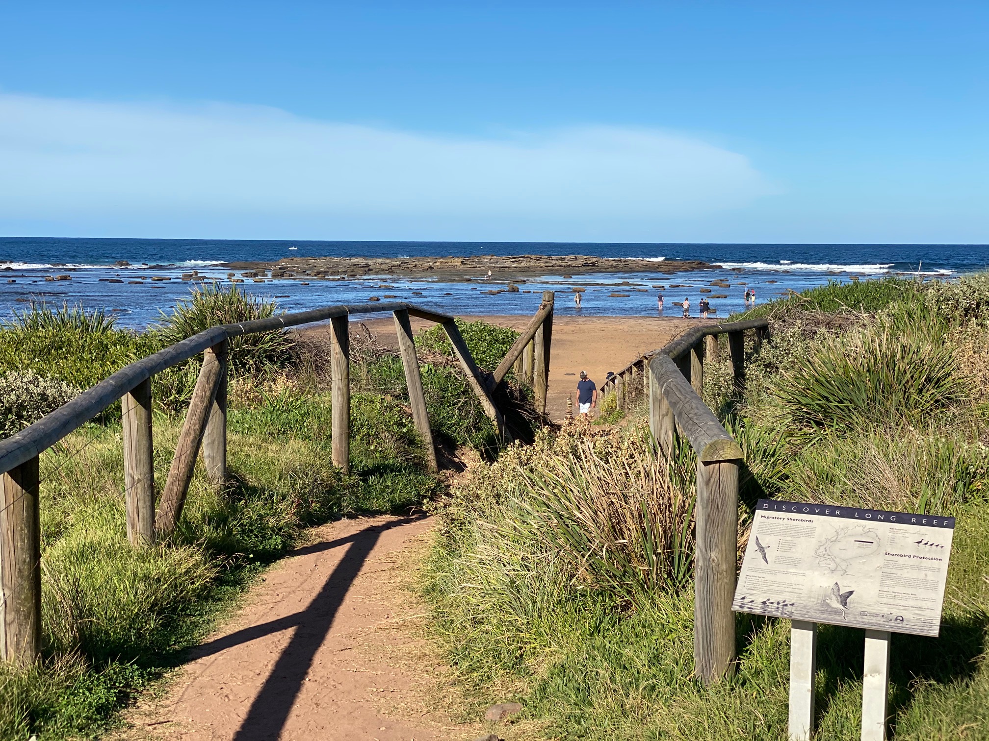 Northern Beaches Half-Day Birdwatching Tour with Mike Barrow