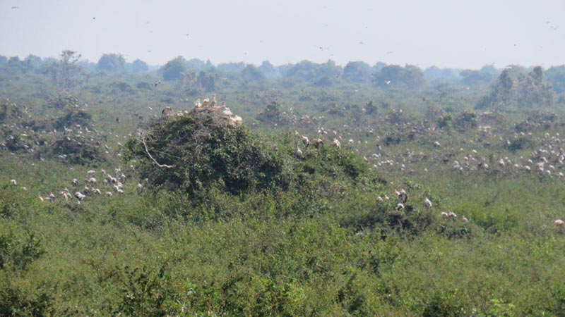 Tour image