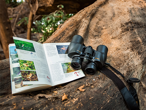 Private Guided Birding and Nature Walks at Mela Kothi