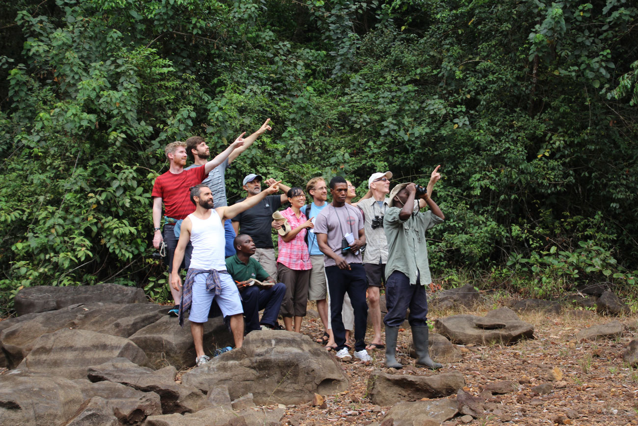 Private Forest Birdwatching Walk at Tacugama