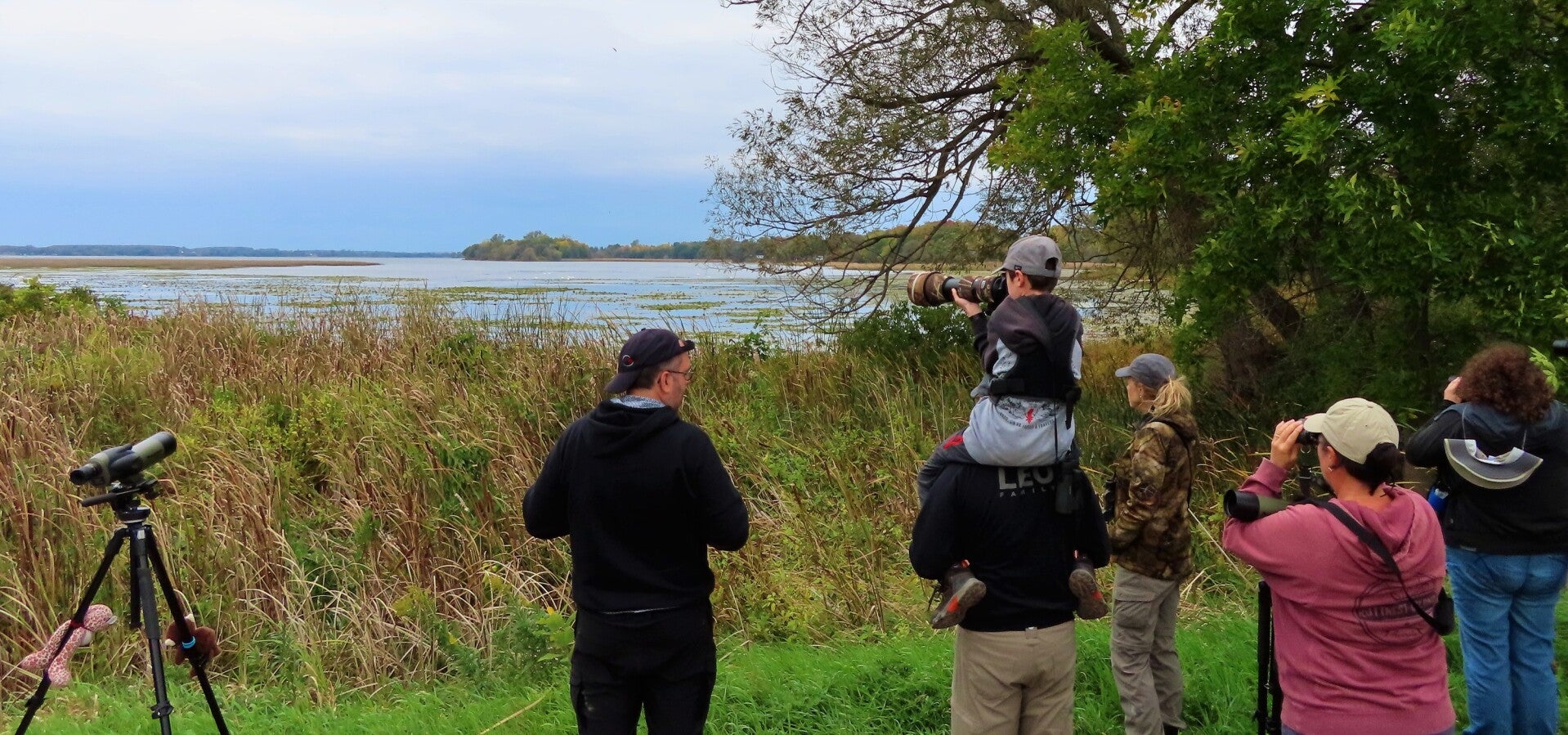 Autumn Birdwatching Walks in Quebec with Joël Coutu