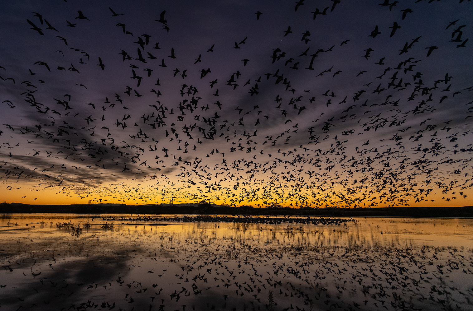 Bosque del Apache and White Sands Photography Workshop