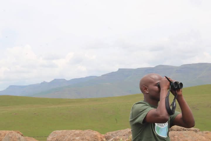 Private Full-Day Grasslands Birding with Sonwabile Daza