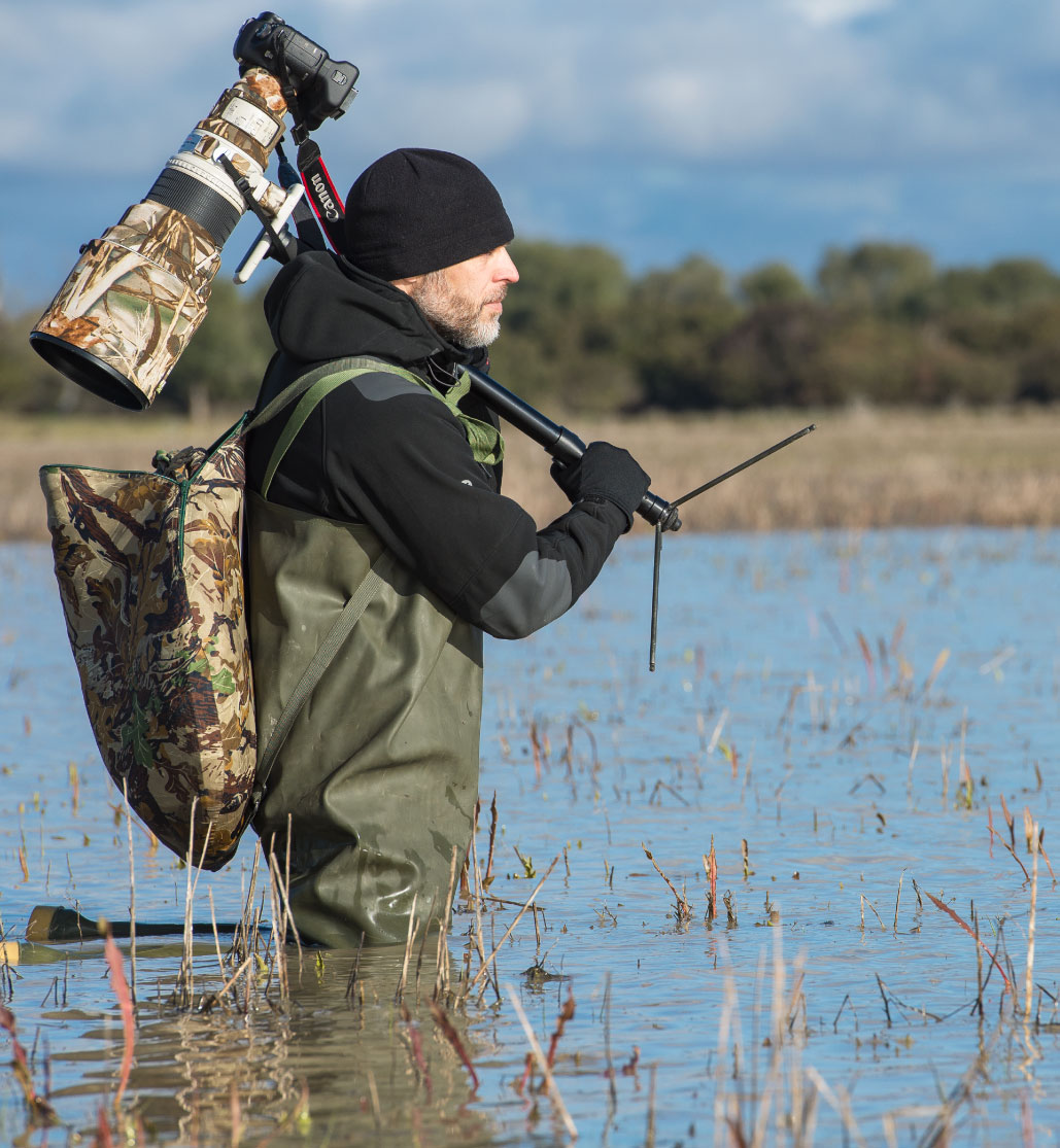 Private Full-Day Doñana Birding Experience