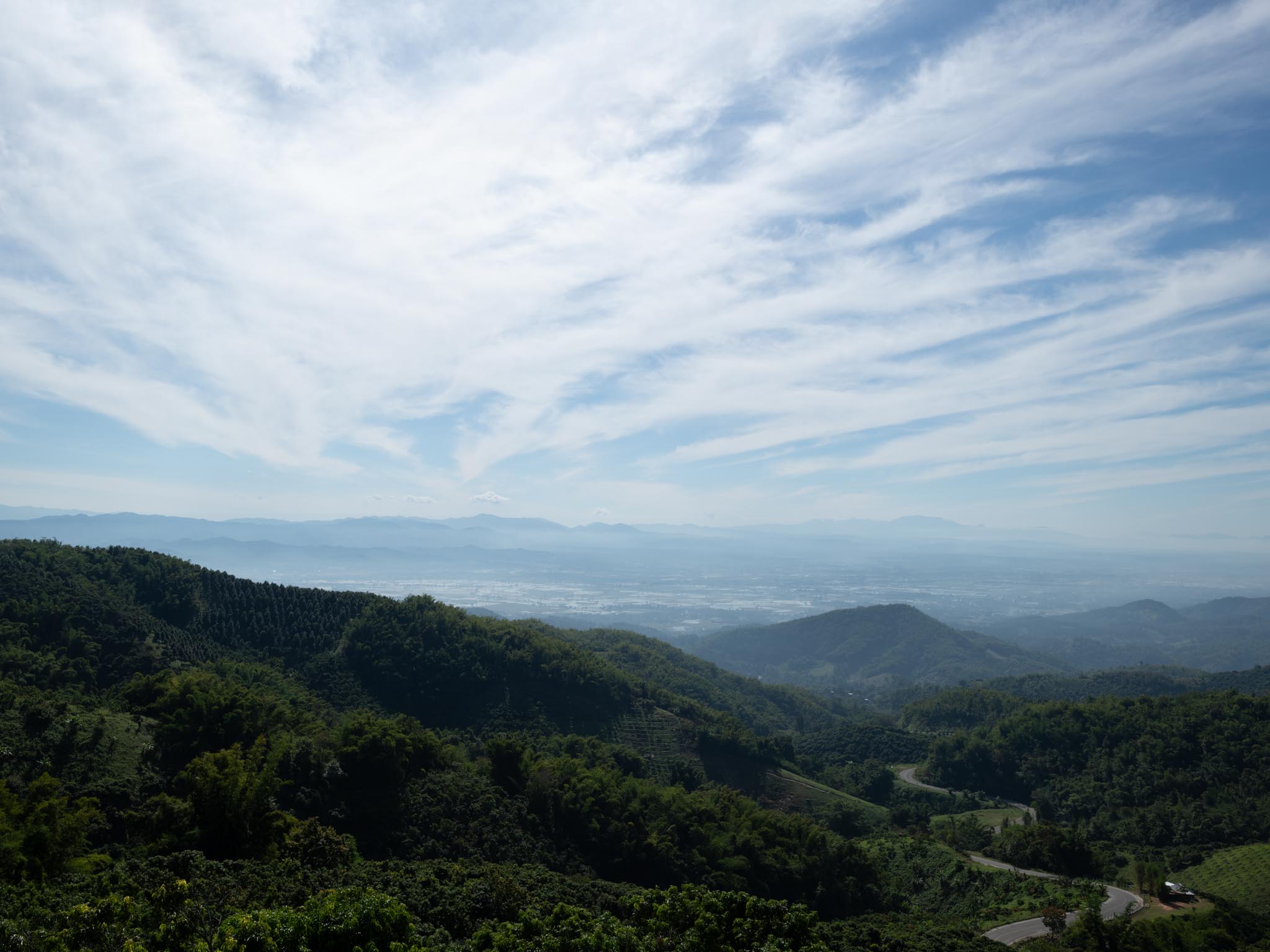 Private Northern Thailand Mountain Birding Tour, 4 to 7 Days