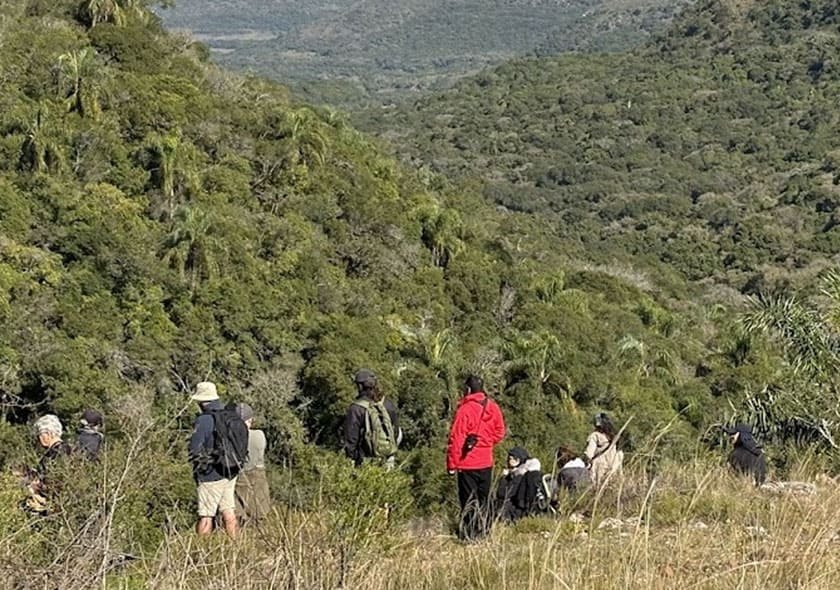 2-Day Quebradas del Norte Birdwatching Expedition