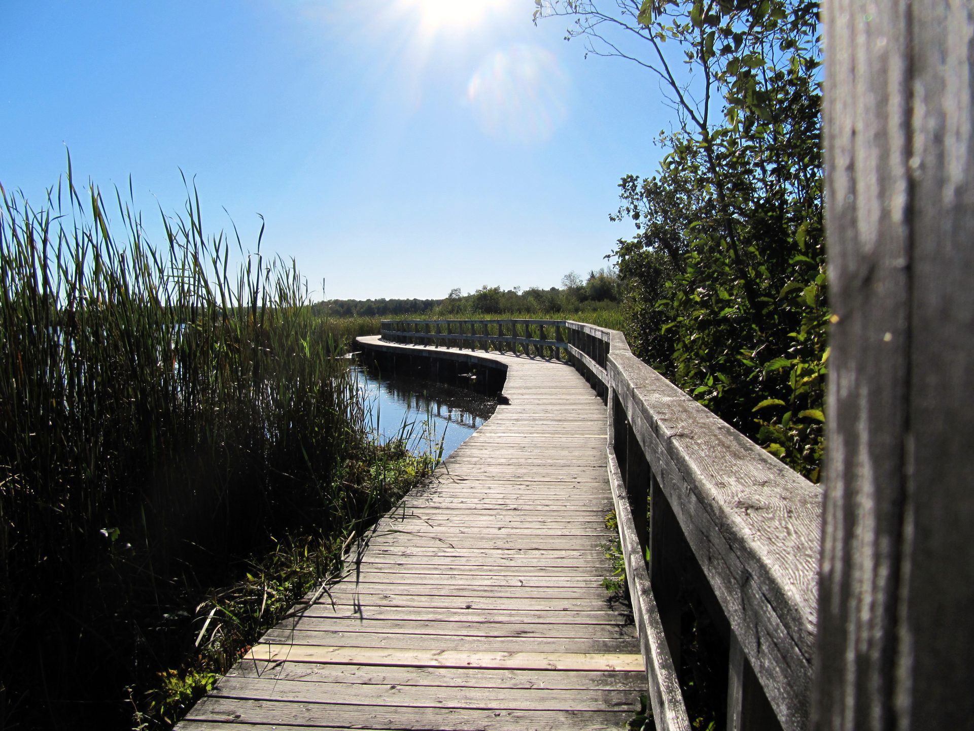 Private Haute-Yamaska Birding with Normand Fleury