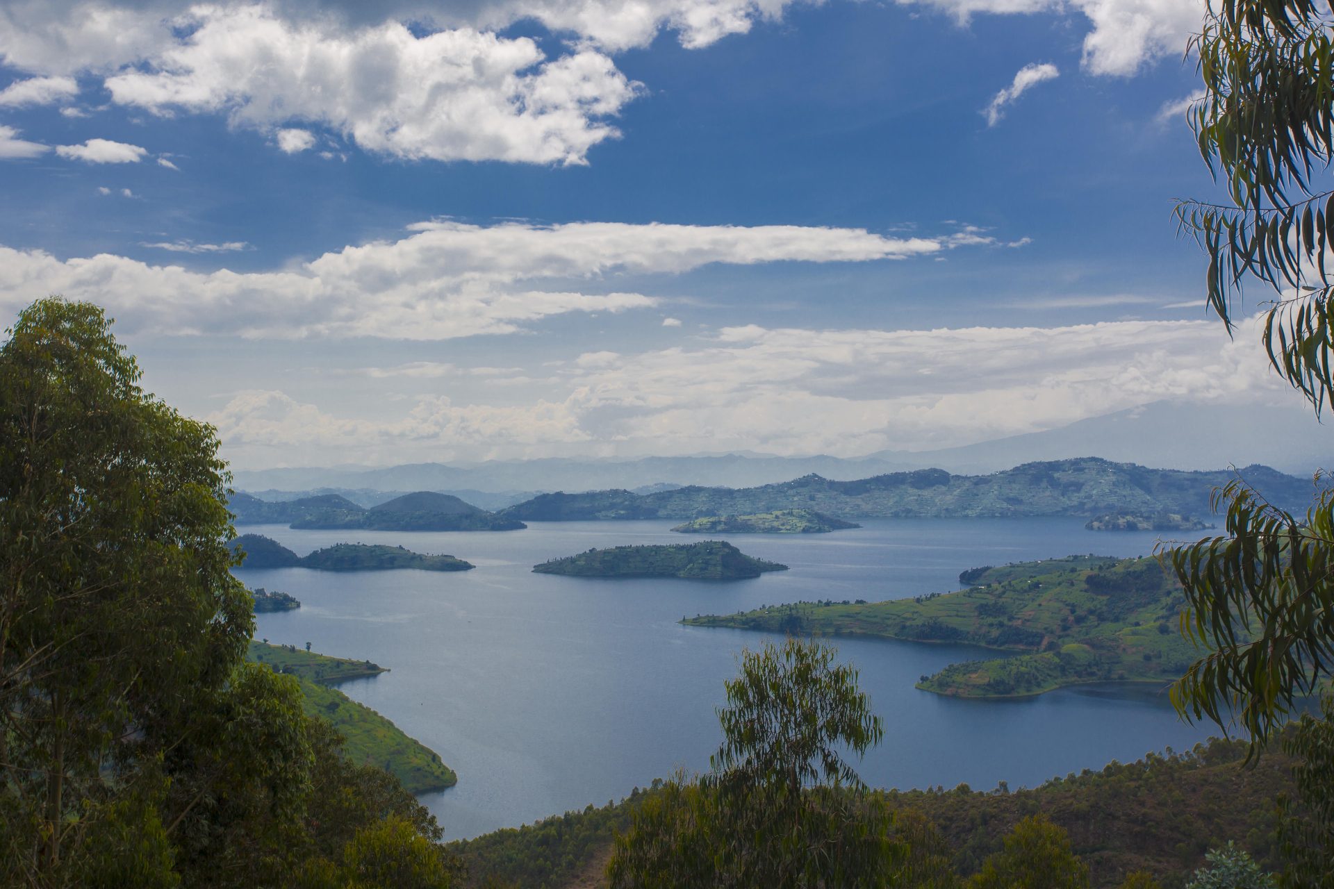 Twin Lakes Birding Discovery with Roger Irakoze