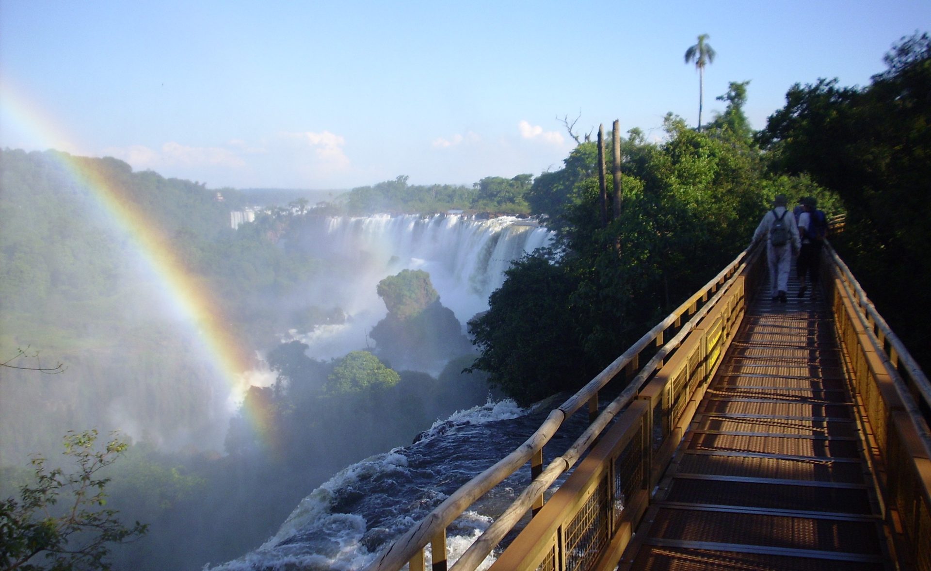 Iberá Wetlands and Iguazú Falls Birding Tour