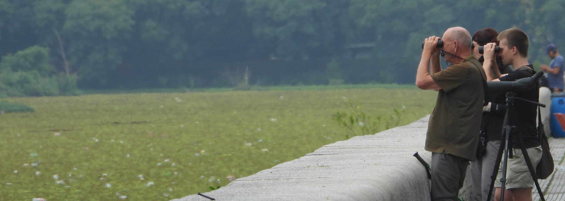 Buenos Aires City Birding Tour