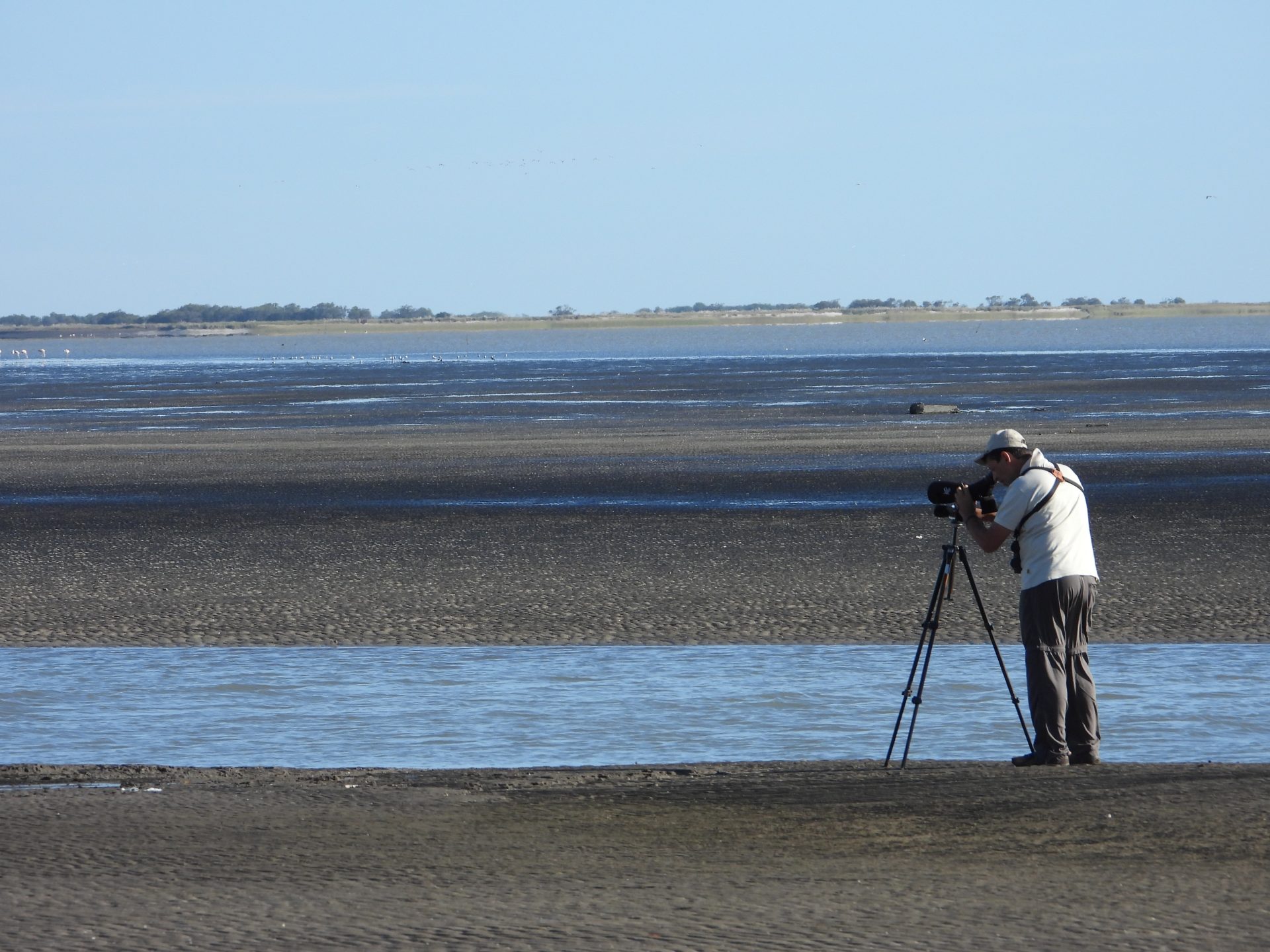 Punta Rasa Coastal Birding Tour