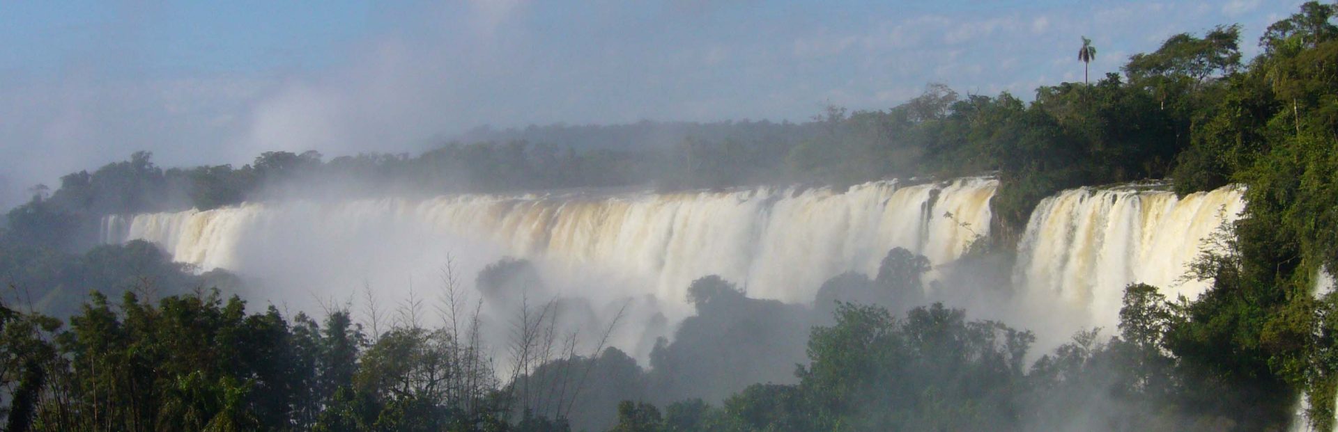 Iguazu National Park Brazil Birding Day Tour