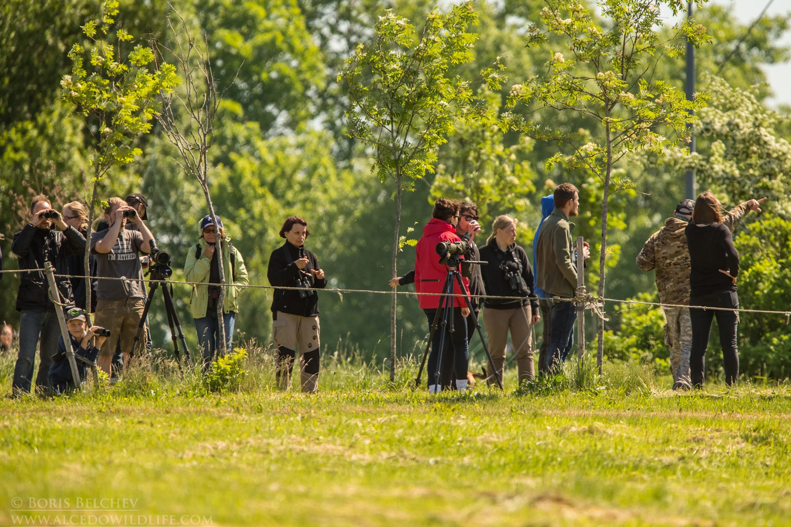 Twitching Lithuania 9-Day Birding Tour