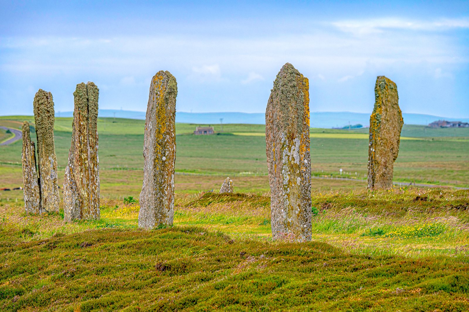Scotland Cruise