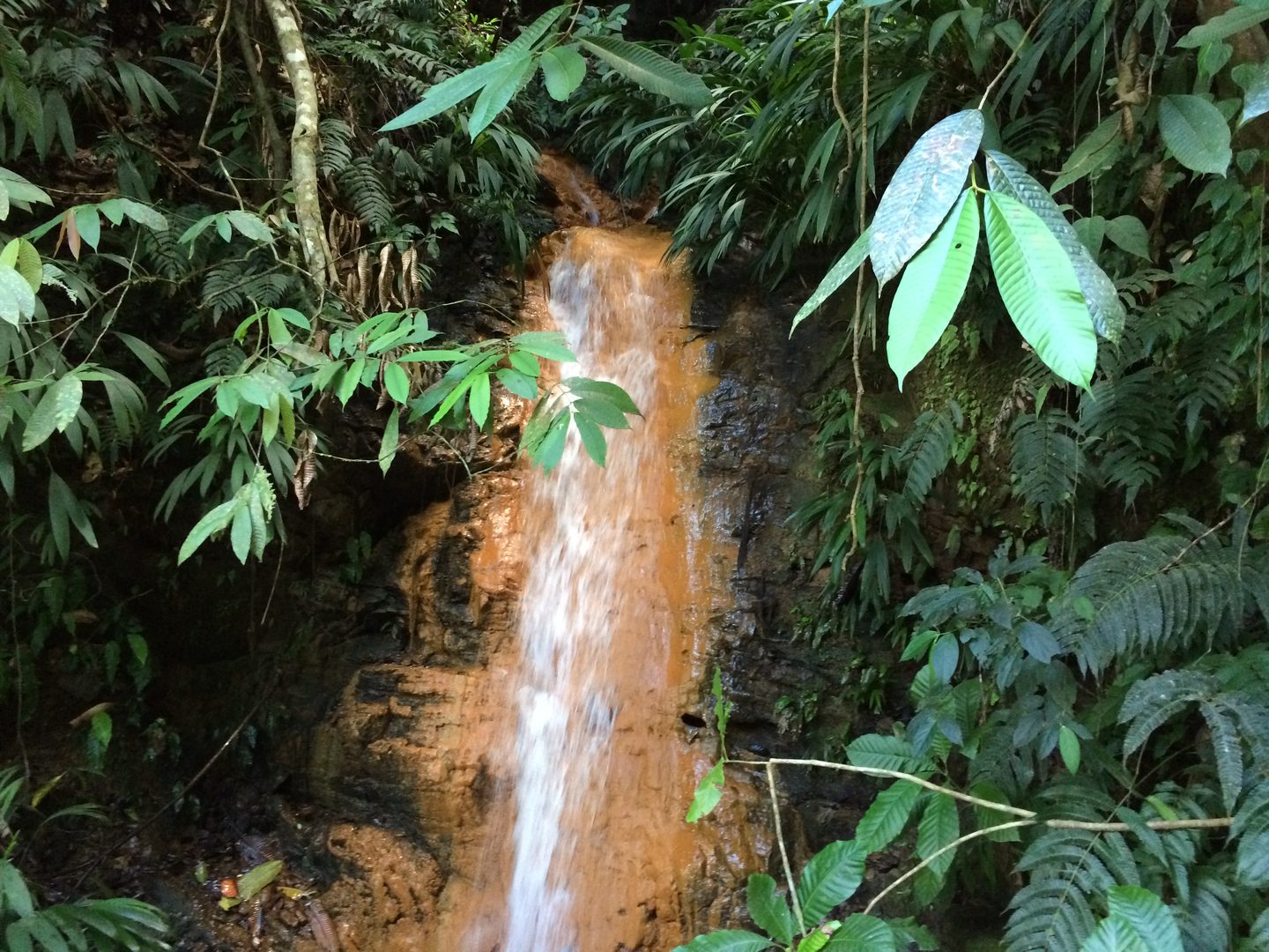 Argyle Waterfalls Nature Tour