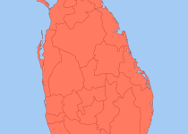 Buff-breasted Jungle-Flycatcher