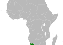 Chestnut-backed Sparrow-Lark