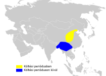 Claudia's Leaf Warbler