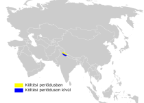 Kashmir grasshopper warbler