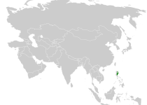 Mindanao Pygmy Babbler