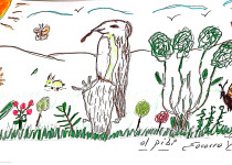 Olive-sided Flycatcher