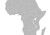 Prigogine's greenbul