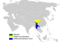 Russet-crowned Warbler