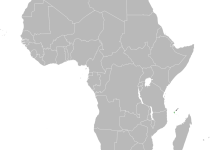 Short-tailed Newtonia