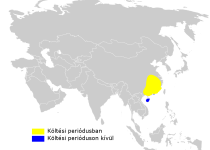 Sulphur-breasted Warbler