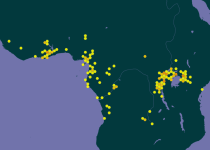Yellow-breasted Honeyeater