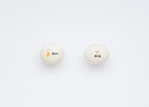 Yellow-fronted Parakeet