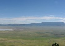 Tanzania Multi-Biome Tailor-Made Birding Safari