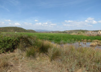 Birds, Birds, Birds! Birding Week Tour