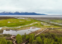 Picture was taken at Potter Marsh near Anchorage, Alaska. This is a wetland for birds. Many come and enjoy looking for various birds, animals, and foliage.