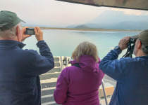 Birding Kenai Fjords