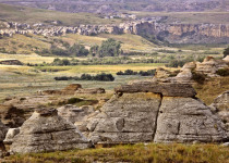 Alberta Badlands