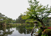 Japanese Garden