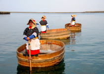 Taraibune Tub boats