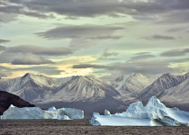 Karrat Fjord, icebergs
