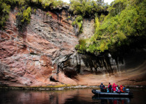Zodiac cruise, Carnley and Musgrave