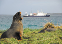 Spirit of Enderby, Subantarctic Islands