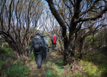 Clients walking on island on Birding Down Under cruise