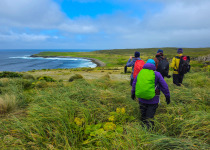 Enderby Island group