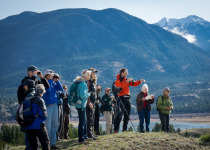 Bird watching in the Columbia Valley
